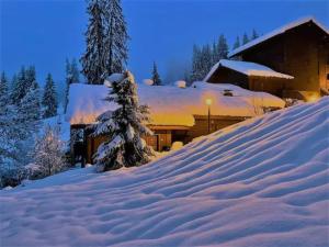 Refuge de l' Alpage trong mùa đông