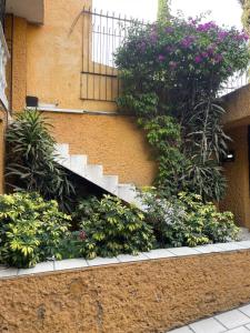 una escalera en un edificio con flores y plantas en Habitación con baño propio en Ciudad de México