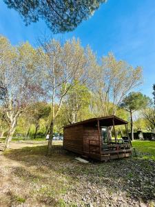 a small wooden cabin in a park with trees at CAMPING AMALASUNTA in Montefiascone
