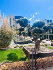 Zahrada ubytování Exclusive St Constantine Suites + 148 fotografií