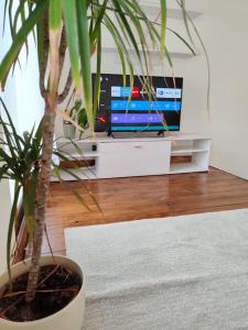 Gallery image of Le Case di Sara: Centro Storico+Parcheggio a700mt in Udine +13 photos