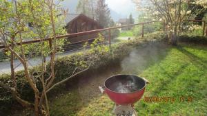 Vườn quanh Delightful one bedroom apartment in Les Diablerets