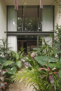 a group of plants in front of a building at Luxury Loft with Pools, Gym, Rooftop Terrace and Panoramic Views in Tulum