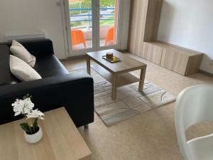 ブラニャックにあるCharming one bedroom apartment, - pres des commerces et tram FIBRE wifi, Airbus MEET super locationのソファとテーブルのあるリビングルーム