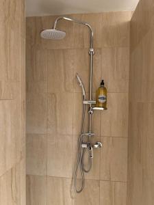 阿维尼翁Appartement de plain-pied avec jardin的浴室里有淋浴喷头的淋浴
