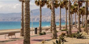 una fila de palmeras en una acera junto a la playa en Piso cerca playa Almeria en Almería