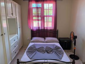 sypialnia z łóżkiem z różowym oknem w obiekcie Modern Air Conditioned Home For Family & Adventure w mieście Loubiere
