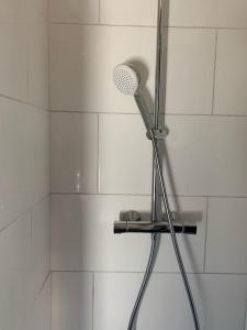 eine Dusche mit Duschkopf im Bad in der Unterkunft Chalet indépendant au calme à 10 minutes d'Annecy in Villaz