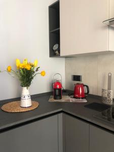 Gallery image of Casa Gemma in Stresa