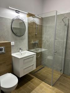 a bathroom with a shower and a sink and a toilet at Villa Sudecka in Duszniki Zdrój