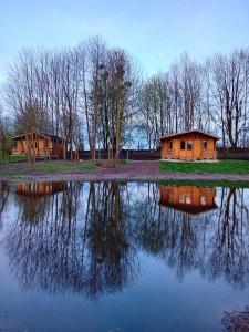 een paar huizen naast een meer bij Sasinowe Domki Nad Jeziorem in Małdyty