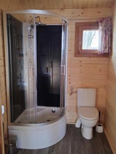a small bathroom with a toilet and a shower at Sasinowe Domki Nad Jeziorem in Małdyty