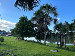 Un jardín fuera de Chamisal Jungle Hotel