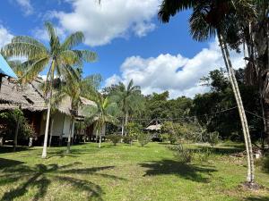 a yard with palm trees and a house at Chamisal Jungle Hotel in Lima