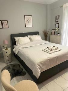 a bedroom with a bed with a dog laying on the floor at Hermes Modern Apartment in Alexandroupoli