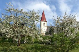 Aed väljaspool majutusasutust Pension Kirchleitn