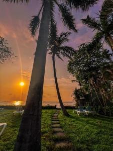 un camino con palmeras y una puesta de sol en el fondo en Hotel Perla de la Playa en Tamarindo