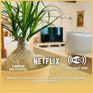 a vase with a plant in a living room at Charmante maison a deux pas du centre in Nantes