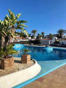 a swimming pool with palm trees in a resort at Sunny Sea View Apartment Center of Las Americas in Playa de las Americas