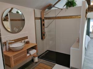 uma casa de banho com um lavatório e um chuveiro com um espelho. em Gite La Maisonnette em Chancelade
