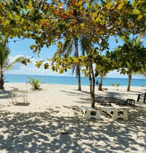 einen Strand mit einem Baum und Bänken und dem Meer in der Unterkunft Beachfront bliss villa in Diani Beach