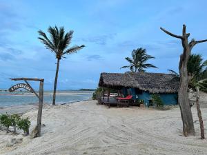 una cabaña azul en la playa con palmeras en Cabana Chic, en Tatajuba