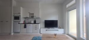 Modern compact apartment 25 minutes from Helsinki tesisinde bir televizyon ve/veya eğlence merkezi