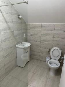 a bathroom with a toilet and a sink at Pensiunea Mara Băile Botiza in Botiza