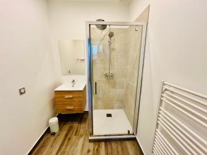 een badkamer met een douche en een wastafel bij Hypercentre, spacieux, familial, l'Urbain in Tours