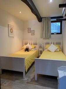 two beds in a bedroom with yellow sheets and a window at Casa Foelas The Garden Apartment in Casoli +34 photos