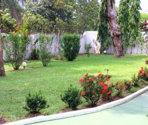 einen Hof mit roten Blumen und einem Zaun in der Unterkunft Appartement Soleil,Batterie 4 in Libreville