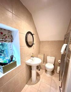 a bathroom with a sink and a toilet and a mirror at The Barn in Cam