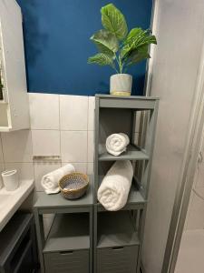 a bathroom with a shelf with towels and a plant at # One Apartment's / Parkplatz / Schlossplatz in Coburg