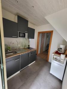 eine Küche mit grauen Schränken, einer Spüle und einem Kühlschrank in der Unterkunft Ferienwohnung Augustusburg in Augustusburg