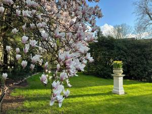 a magnolia tree in a yard with a vase at Boutique Hotel Rosengarten Hamburg in Hamburg