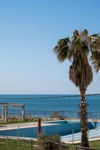 een palmboom naast een zwembad naast de oceaan bij Peraia Deluxe Apartment in Perea