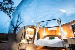 a bedroom in a dome house with a bed at Horizonte Bubble rooms in Cortegana