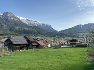 un pueblo en un campo con montañas en el fondo en Val di Sole Apartment, en Monclassico