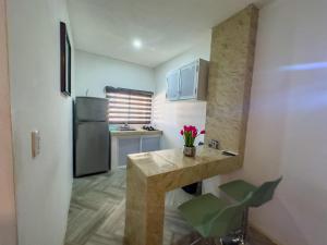 Η κουζίνα ή μικρή κουζίνα στο Estudio Aralias Relax & Go