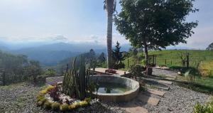 um jardim com uma banheira no meio de uma montanha em Cerro Verde Salento em Salento