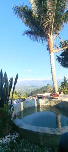 薩蘭托的住宿－Cerro Verde Salento，旁边是一座棕榈树游泳池
