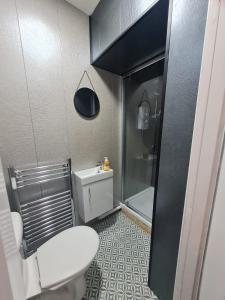 a small bathroom with a toilet and a shower at Cozy 6 Bedroom HMO in Eston