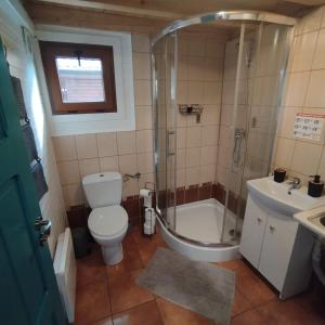 a bathroom with a toilet and a shower and a sink at Ośrodek Azyl Mironice in Kłodawa