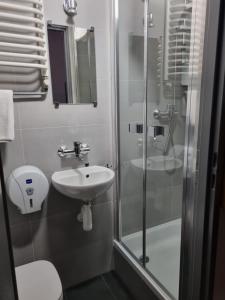 a bathroom with a shower and a sink and a toilet at Résidence Tournet in Krakow