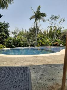 a swimming pool with a table and a palm tree at H Boutique Edén Cuernavaca in Cuernavaca