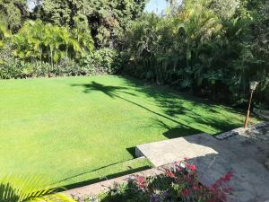 a yard with a green lawn with trees and flowers at H Boutique Edén Cuernavaca in Cuernavaca