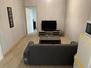 een woonkamer met een bank en een flatscreen-tv bij Appart 2 chambres proche rivière & centre in Saint-Ambroix