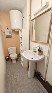 La salle de bains est pourvue d'un lavabo et de toilettes. dans l'établissement Le Girod - Wifi - Proche Centre - Netflix, à Clermont-Ferrand