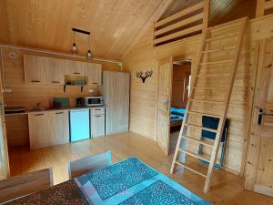 a room with a kitchen and a ladder in a cabin at Domki Pod Jaworem in Solina