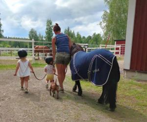 Galeriebild der Unterkunft BB Polle - with the horse view in Mikkeli